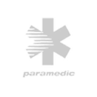 Logo Fiat
